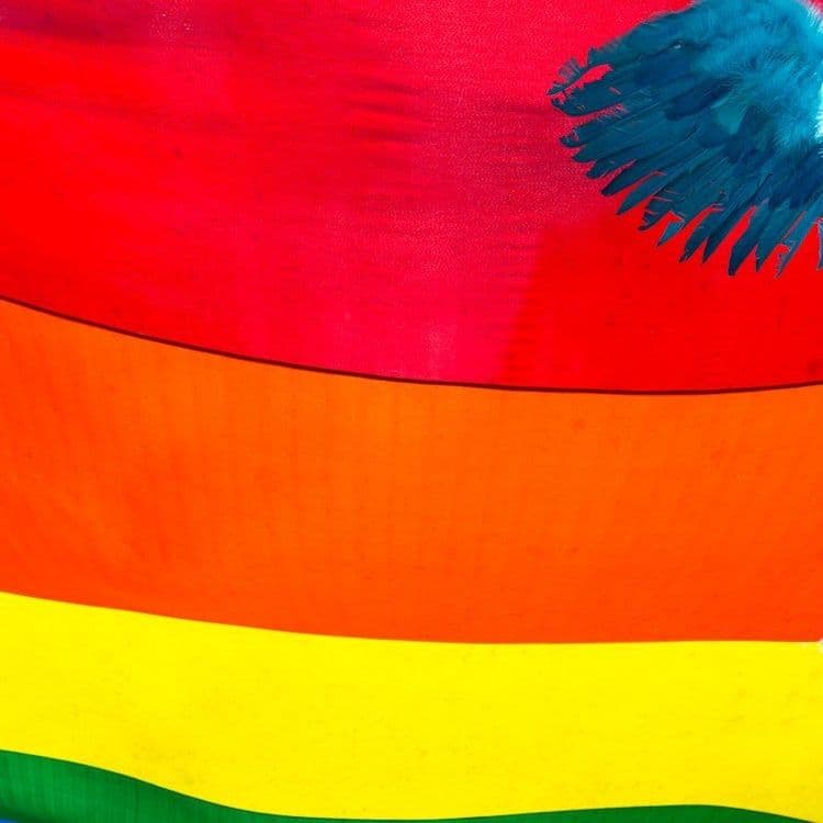 Inclusão e direitos em São Paulo: ONGs que apoiam a comunidade LGBTQIA+