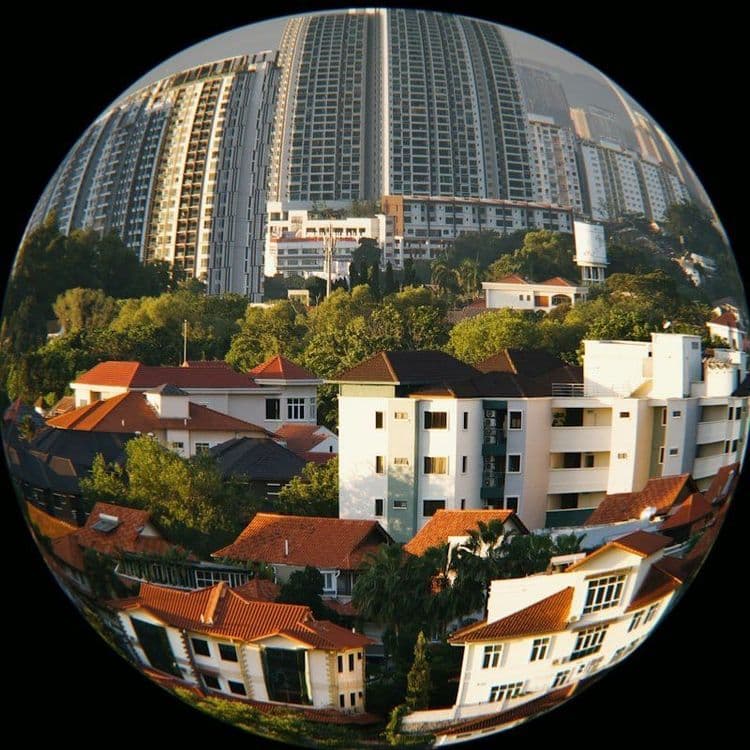 ONGs que promovem a sustentabilidade no Rio de Janeiro